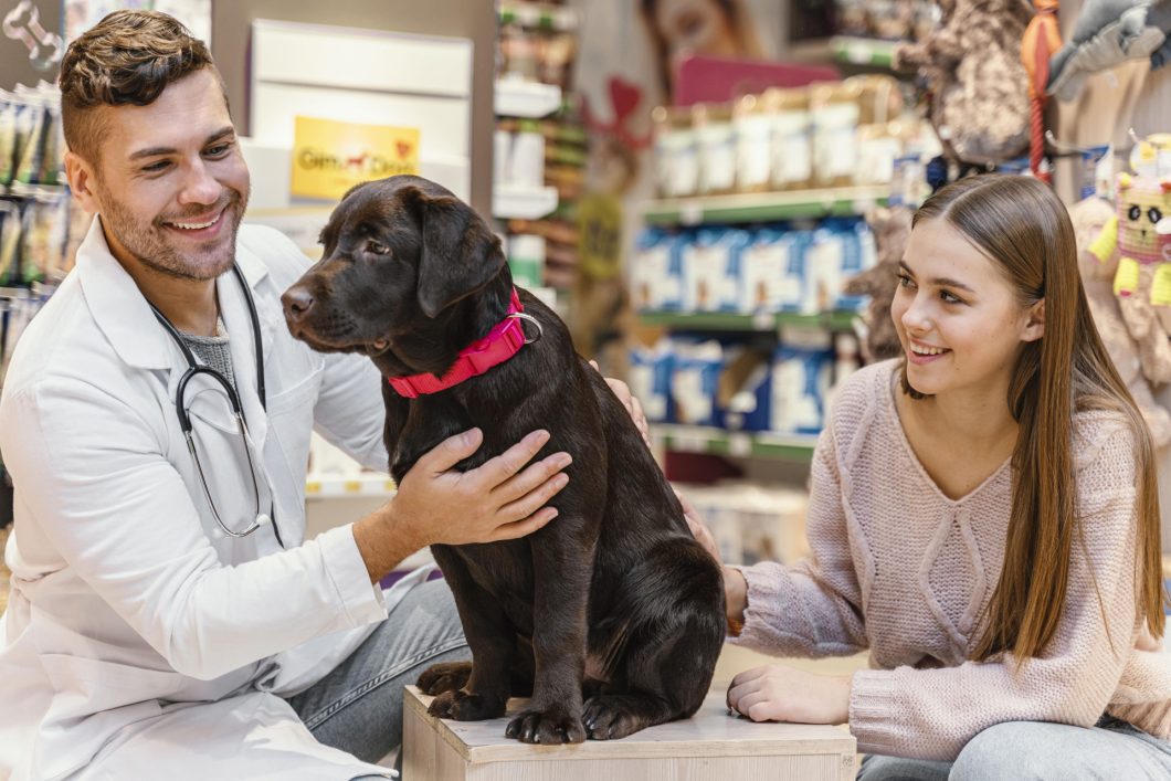 De ce este important să mergi regulat la cabinetul veterinar cu