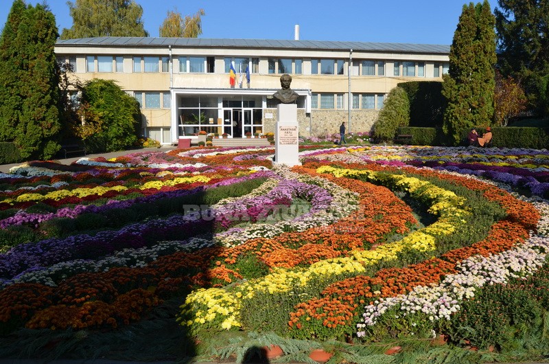 Expozitie Flori De Toamna La Gradina Botanica Iasi Foto Video