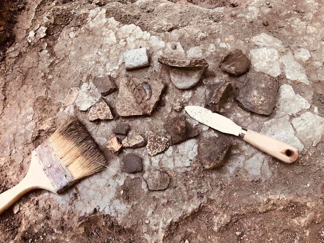 Cercetătorii au făcut noi descoperiri arheologice legate de o așezare getică de acum 2.500-2.400 ani în Codrii Iașilor, la Dobrovăț