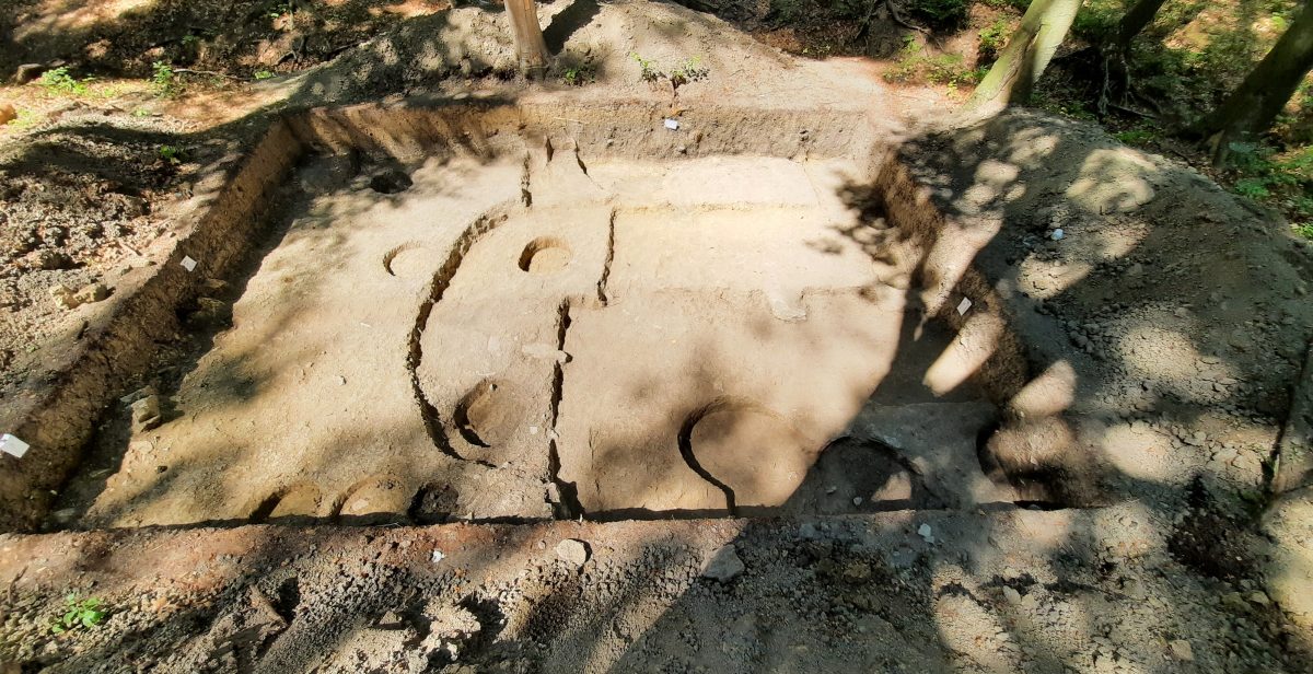 Cercetătorii au făcut noi descoperiri arheologice legate de o așezare getică de acum 2.500-2.400 ani în Codrii Iașilor, la Dobrovăț