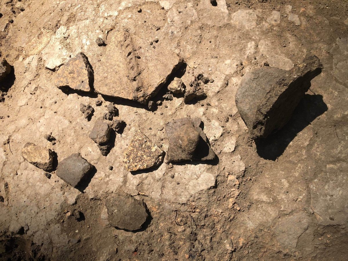  Cercetătorii au făcut noi descoperiri arheologice legate de o așezare getică de acum 2.500-2.400 ani în Codrii Iașilor, la Dobrovăț