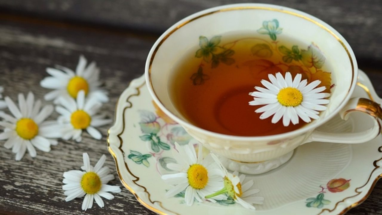 o cana cu ceai cu o floare in ea pe o farfurie inconjurata de musetel