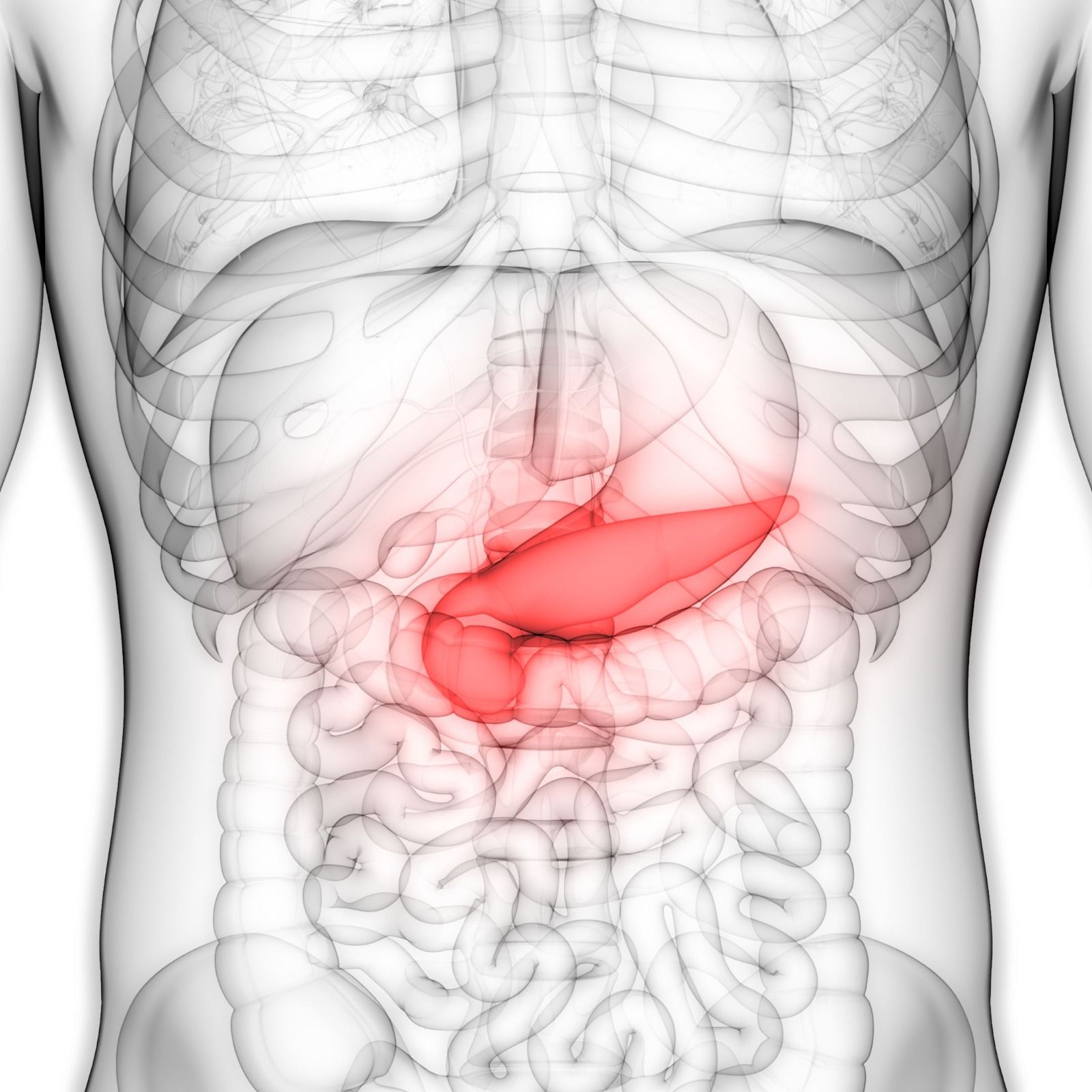 grafica localizare pancreas in organismul uman