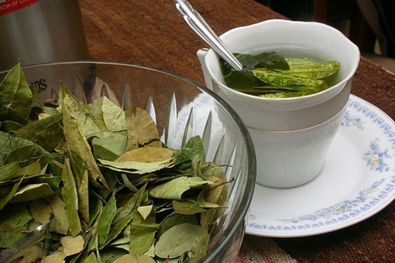 un bol cu mai multe frunze de dafin alaturi de un ceai din frunze de dafin