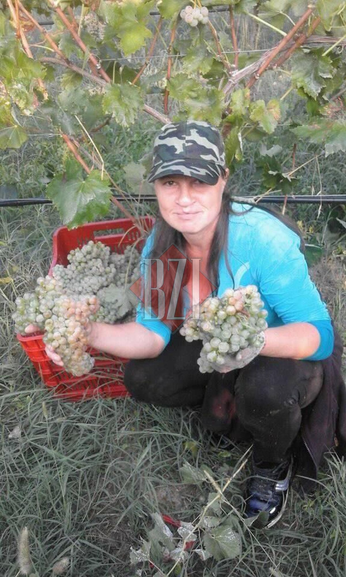 Alina, mama copiilor, când muncește