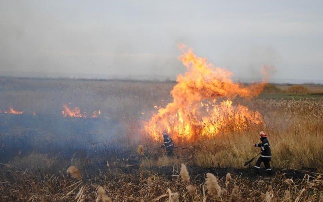 pompieri care sting incediu de pe terenurile agricole