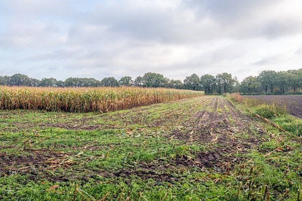  un teren agricol