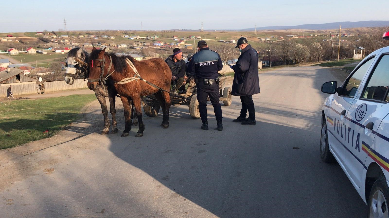 doi cai la o caruta, o autospeciala si doi politisti