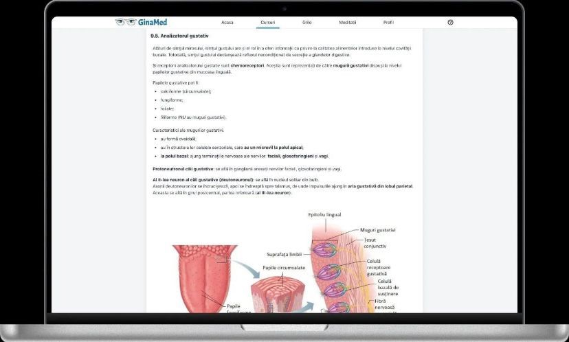 platforma ginamed teste grila