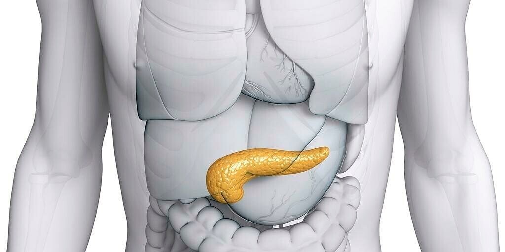 grafica pancreas afectat
