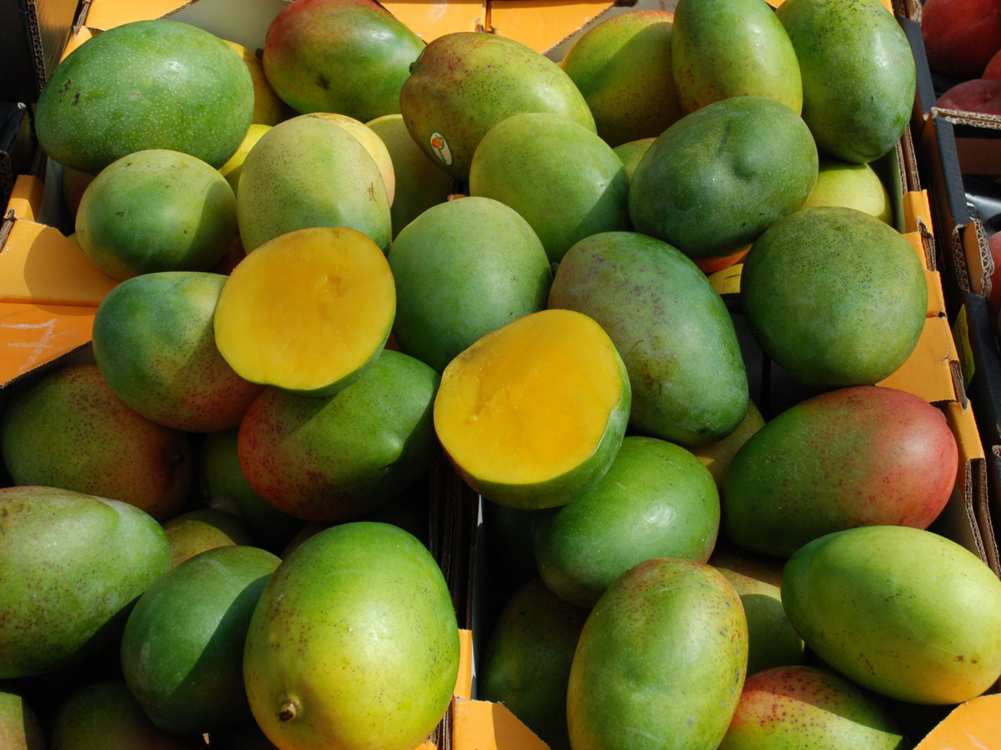 mai multe fructe de mango